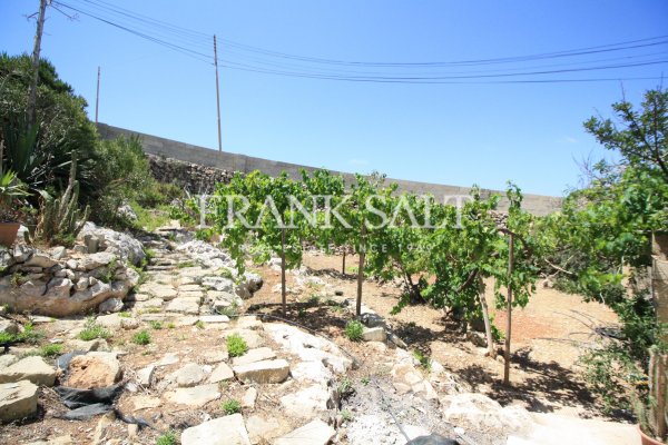 St Pauls Bay, Unfurnished Terraced House